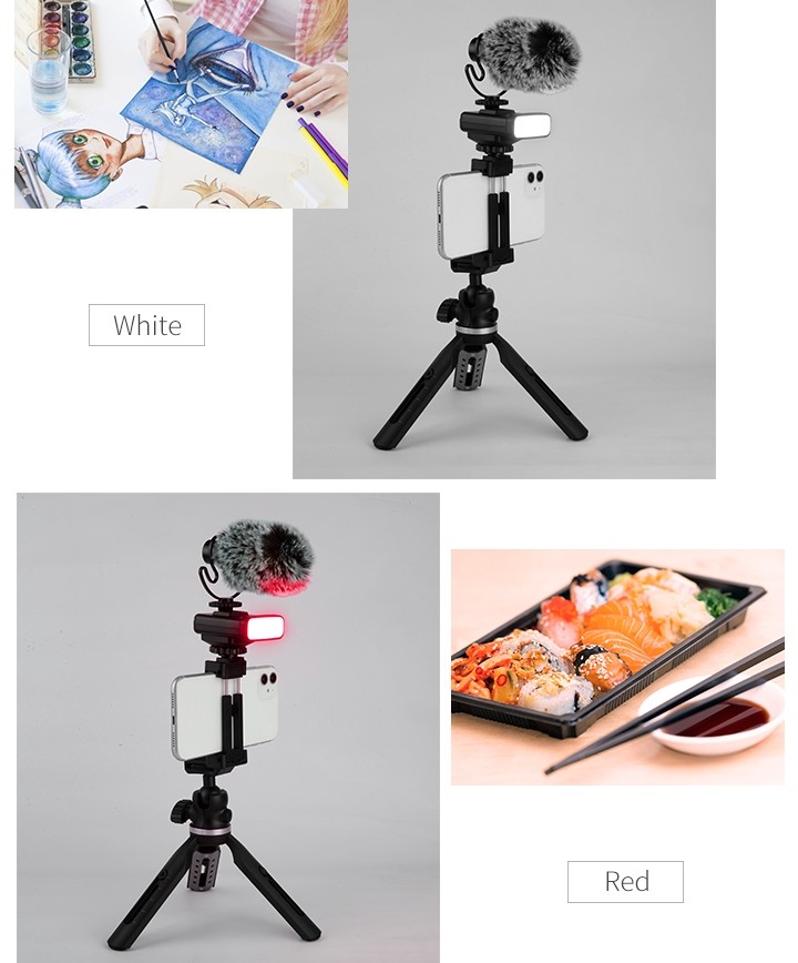 statyw na telefon komórkowy (uchwyt do selfie) + mikrofon i lampka