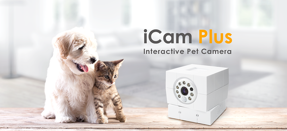 home monitoring kamera IP oraz zwierzęta