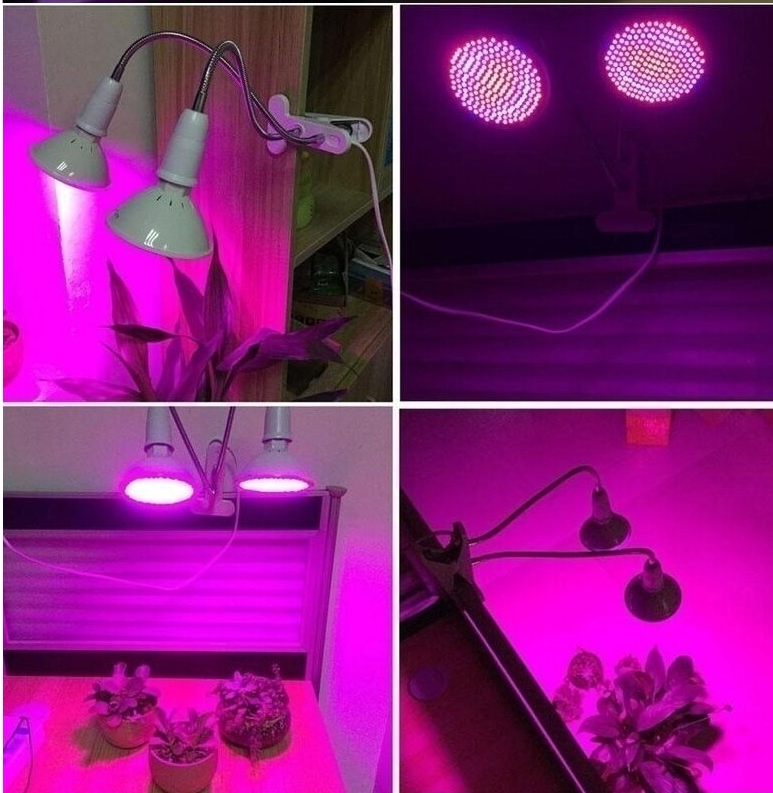sztuczne światło dla roślin