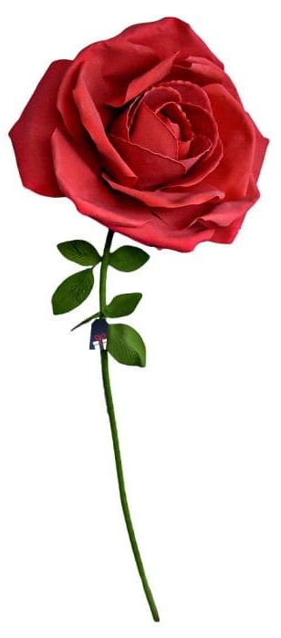 Róża ogromna XXL - Róże na prezent dla kobiety
