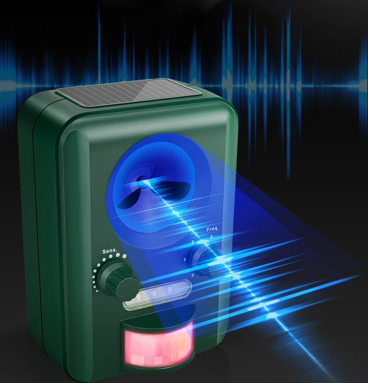 detektor ultradźwiękowy zwierząt