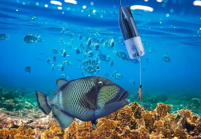 podwodny aparat rybny