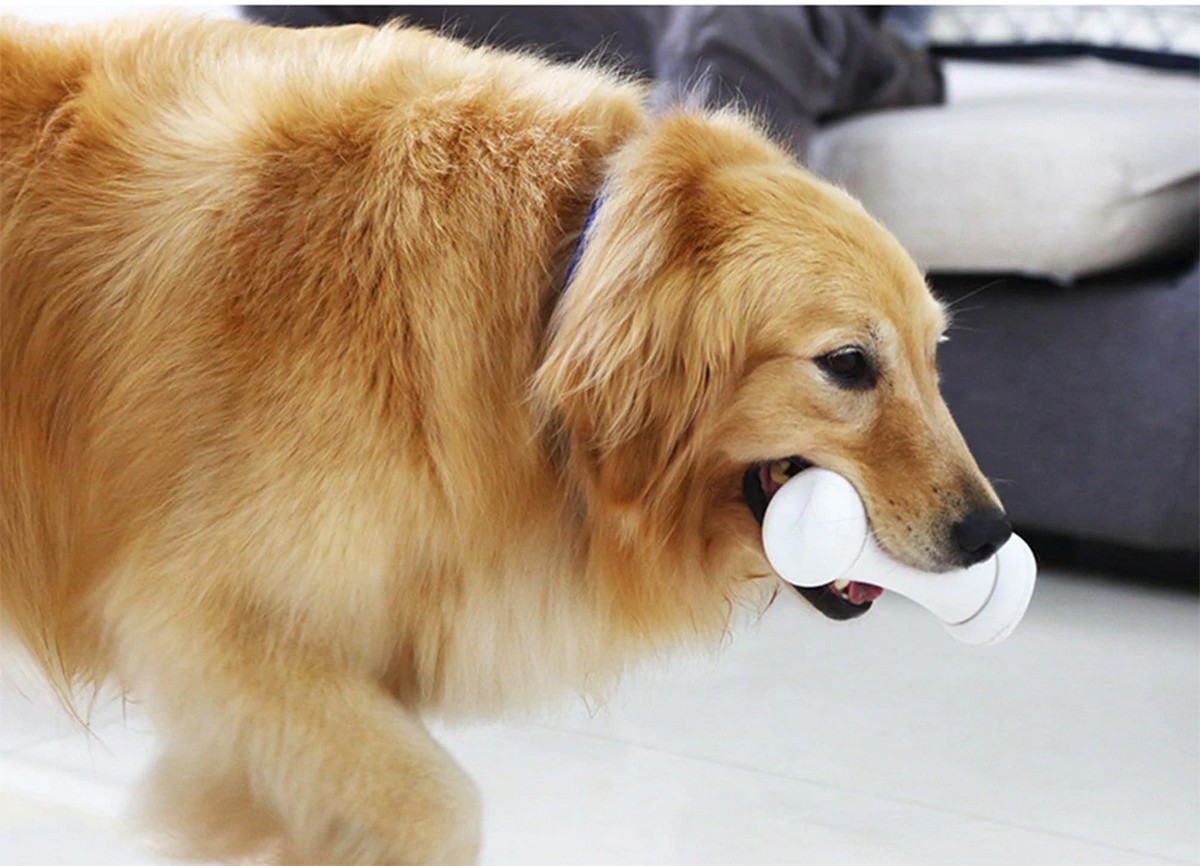 inteligentna zabawka kostna dla psów nikczemna kość